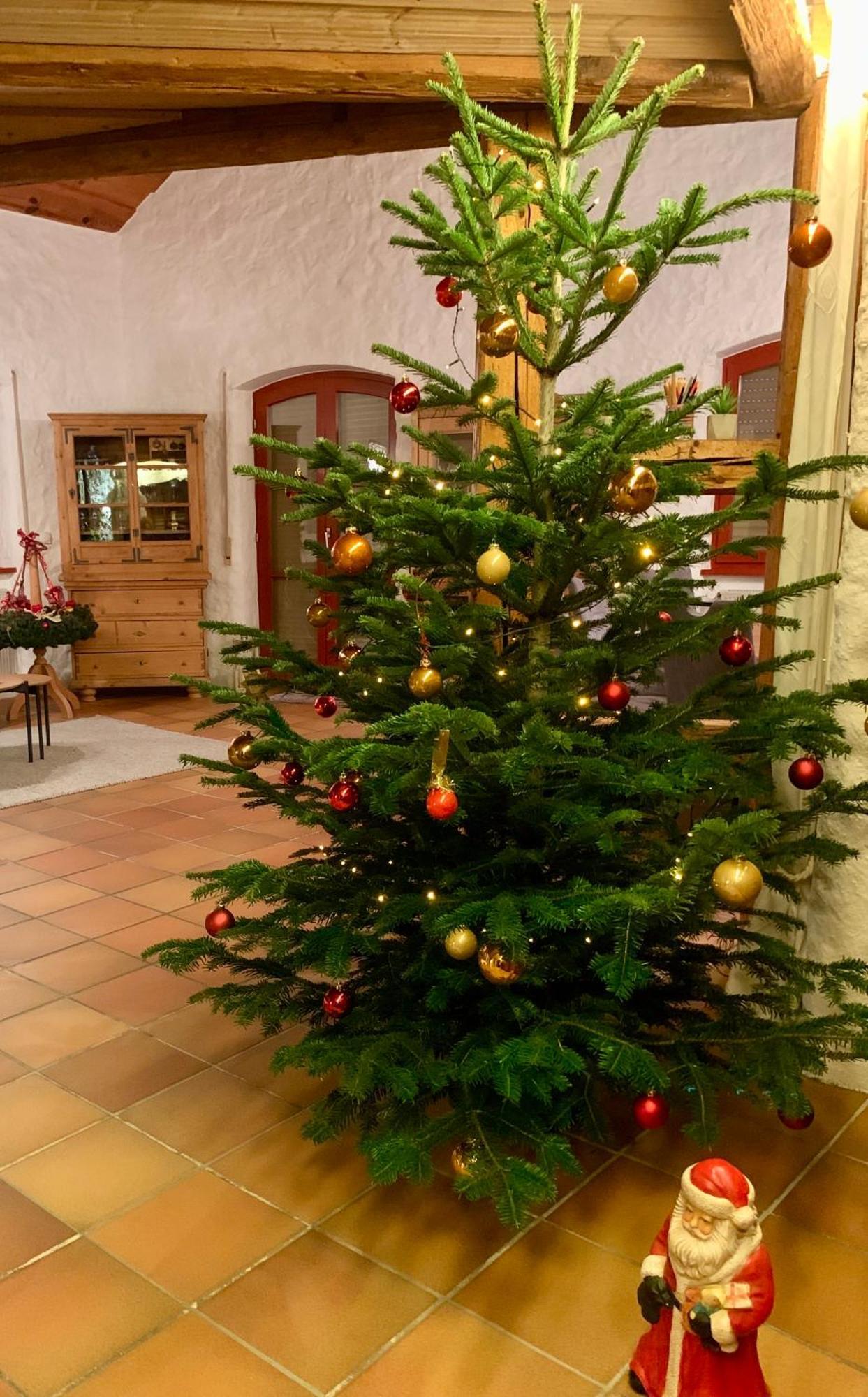 Altmuehl Familienvilla Treuchtlingen Exteriör bild